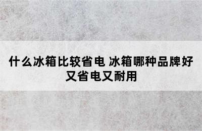 什么冰箱比较省电 冰箱哪种品牌好又省电又耐用